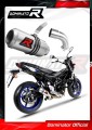 exhaust muffler DOMINATOR GP fits to Suzuki SV 650 2016  2023