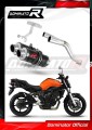exhaust muffler DOMINATOR GP1 BLACK fits to Yamaha FZ6 2006  2010