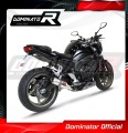 exhaust muffler DOMINATOR GP fits to Yamaha FZ1 FAZER 1000 2006  2015 3