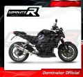 exhaust muffler DOMINATOR ROUND fits to Yamaha FZ1 FAZER 1000 2006  2015 4