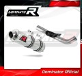 exhaust muffler DOMINATOR GP1 fits to Yamaha RAPTOR 700 R 2015  2021 2