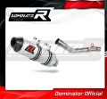 exhaust muffler DOMINATOR MX2 fits to GAS GAS EC 350 F 2021  2022 2