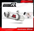 exhaust muffler DOMINATOR OV fits to Kawasaki ER  6 N / F 650 2006  2008 2