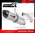 exhaust muffler DOMINATOR HP1 fits to BMW S1000RR 2015  2016 2