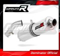 exhaust muffler DOMINATOR ROUND fits to BMW R1200R 2006  2009