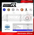 exhaust muffler DOMINATOR GP1 fits to Honda CBF 250 2004  2006 2