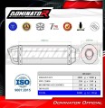 exhaust muffler DOMINATOR HP1 fits to Kawasaki Z1000 2014  2016 5