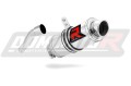 exhaust muffler DOMINATOR GP1 fits to Aprilia RS 125 1999  2005 3