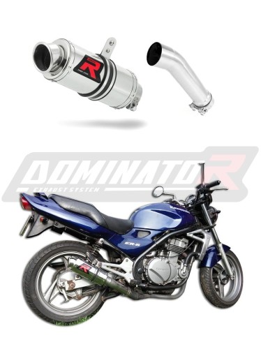 exhaust muffler DOMINATOR GP1 fits to Kawasaki ER 5 500 1996  2006 3