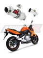 exhaust muffler DOMINATOR GP1 fits to Kawasaki ER  6 N / F 650 2009  2011 6