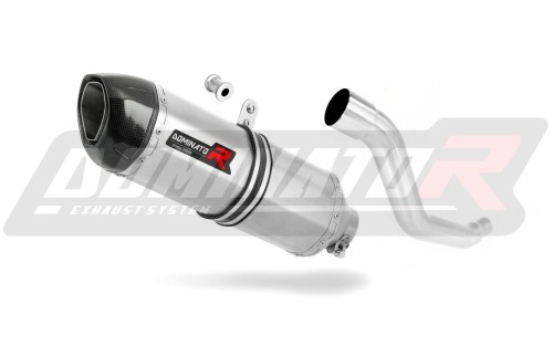 exhaust muffler DOMINATOR HP1 fits to Suzuki XF 650 Freewind 1997  2003 3