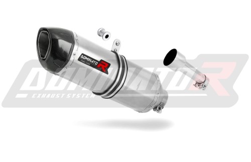 exhaust muffler DOMINATOR HP1 fits to SYM CITYCOM 300i 2007  2014 3