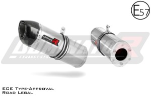 ZX6R 1998 - 2002 Exhaust Silencer Muffler - DOMINATOR EXHAUST OFFICIAL