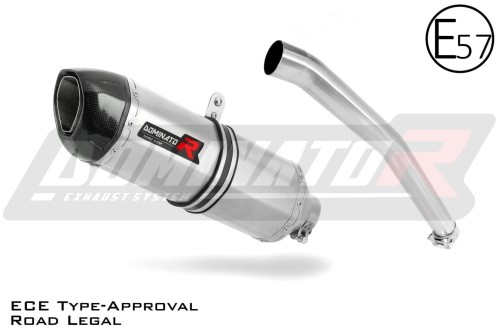 exhaust muffler DOMINATOR homologated road legal HP1 fits to Yamaha YZF R6 1999  2002 3