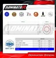 exhaust muffler DOMINATOR OVR fits to Aprilia Tuono 1000 R 2006  2010 3