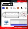 exhaust muffler DOMINATOR HP1 BLACK fits to Ducati MONSTER 900 1993  2004 3