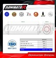 Honda CBF 600 2008 - 2013 EXHAUST Muffler Auspuff Sportauspuff Silencer Echappement Silencieux Scarico Scarichi Escape Wydech Tłumik OVR BL Dominator Exhaust System 1