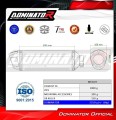 exhaust muffler DOMINATOR S6 fits to CF MOTO 450 MT 2024  5