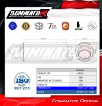 Yamaha Tenere 700 2019 - 2020 EXHAUST Muffler Auspuff Sportauspuff Silencer Echappement Silencieux Scarico Scarichi Escape GPF Black Dominator 4