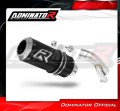exhaust muffler DOMINATOR GP BLACK fits to BMW S1000R 2017  2020 2