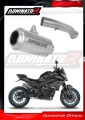 exhaust muffler DOMINATOR GPS fits the motorcycle CF MOTO 800 NK 2023 2026 2