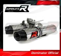 RST 1000 FUTURA Exhaust Aprilia Muffler Auspuff Sportauspuff Silencer Echappement Silencieux Scarico Scarichi Escape Carbon Tip HP3 2001 - 2004 Dominator 1