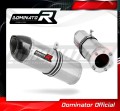 ZX12R EXHAUST Kawasaki Muffler Auspuff Sportauspuff Silencer Echappement Silencieux Scarico Scarichi Escape Wydech Tłumik Carbon Tip HP1 2000 - 2005 Dominator 