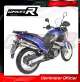 Pegaso 650 Exhaust Aprilia Muffler Auspuff Sportauspuff Silencer Echappement Silencieux Scarico Scarichi Escape OVAL 2001 - 2004 Dominator 2