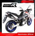 Pegaso 650 Strada Exhaust Aprilia Muffler Auspuff Sportauspuff Silencer Echappement Silencieux Scarico Scarichi Escape GP 1 2007 - 2010 Dominator 2