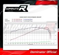GSXR GSX 1300 R HAYABUSA EXHAUST Suzuki Muffler Auspuff Sportauspuff Silencer Echappement Silencieux Scarico Scarichi Escape Wydech Tłumik OVAL 1999 - 2007 DOMINATOR 4